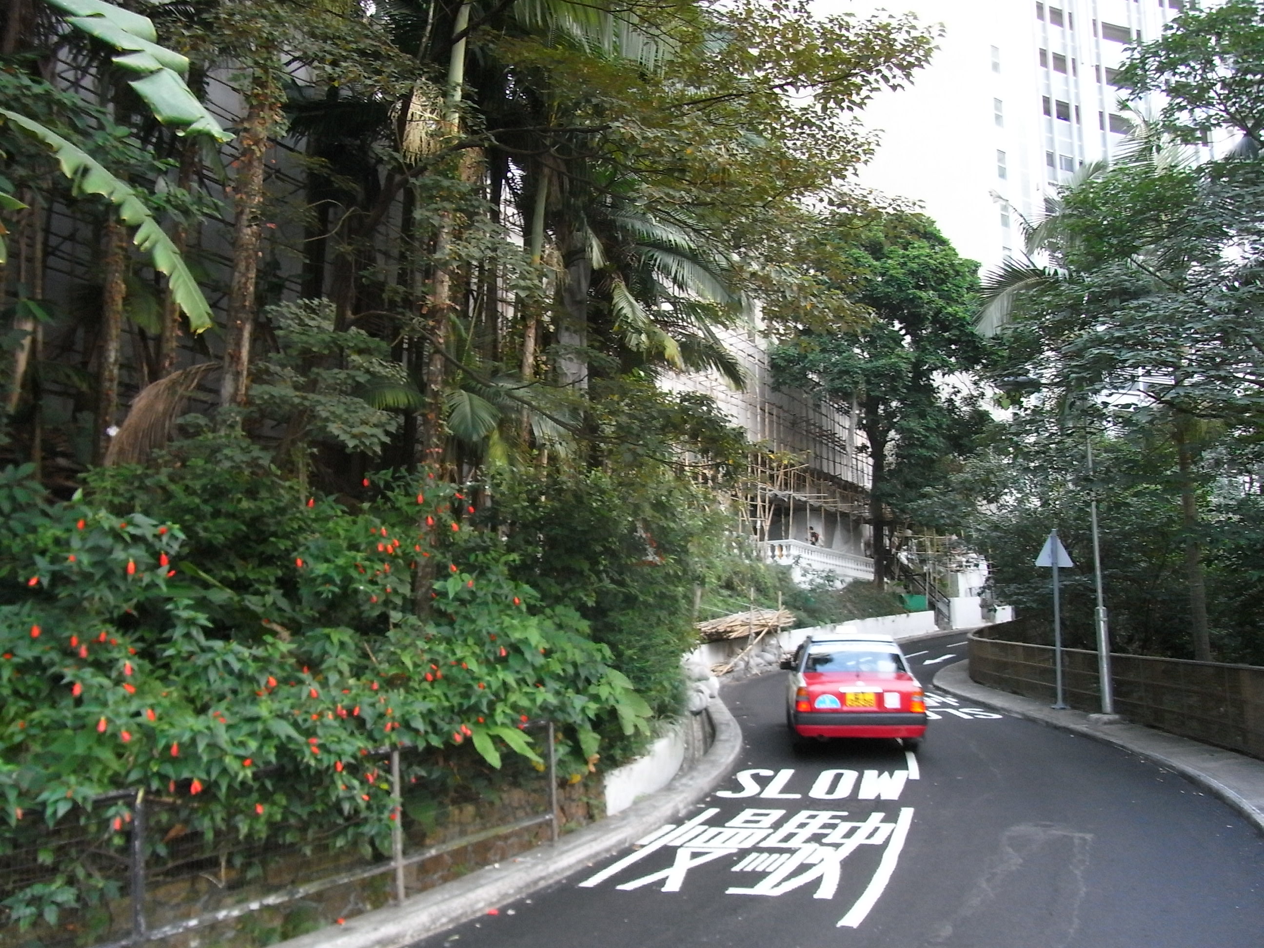 HK_Mid-Levels_Tregunter_Path_slow_sign_Oct-2012.JPG