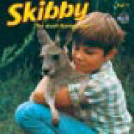 Skibby the bush kangaroo