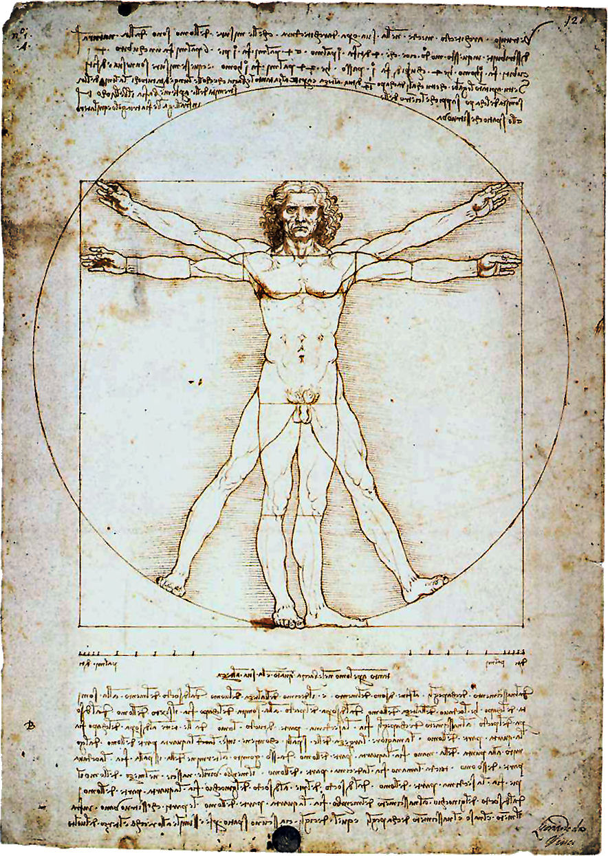 leonardo-da-vinci-the-vitruvian-man.jpg