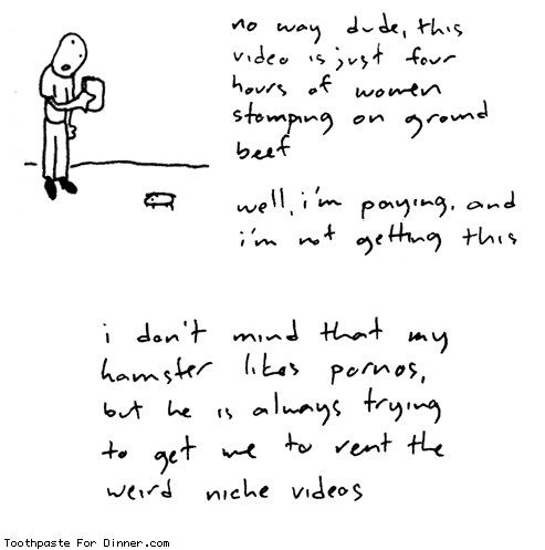 hamster-niche-videos.gif