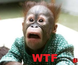 shocked-look-on-a-monkeys-face.jpg