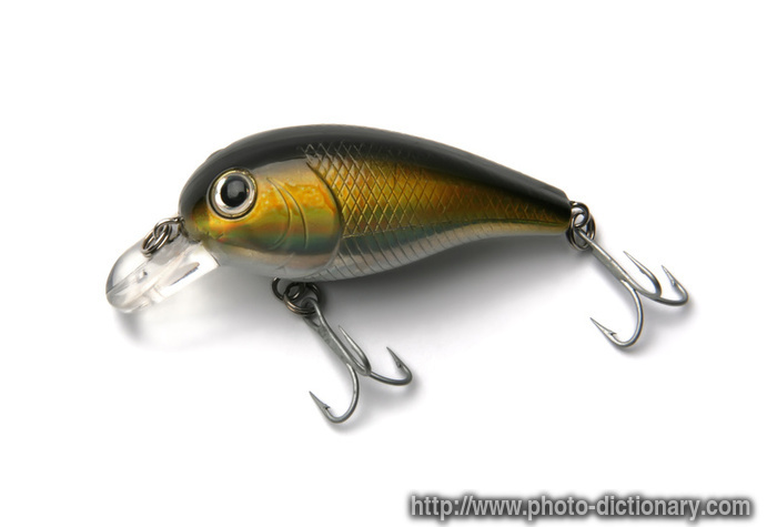 4131fishing_bait.jpg