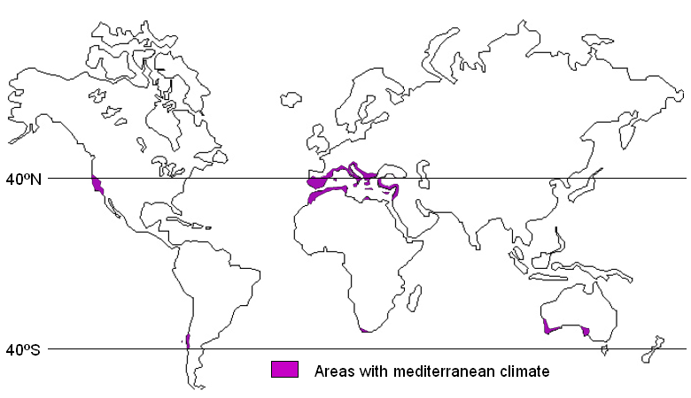 Medclim.png