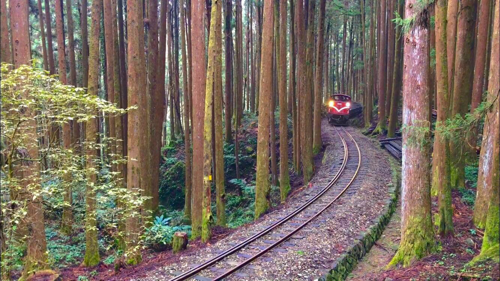 180914001438-alishan-railway-captainimg-3958.jpg