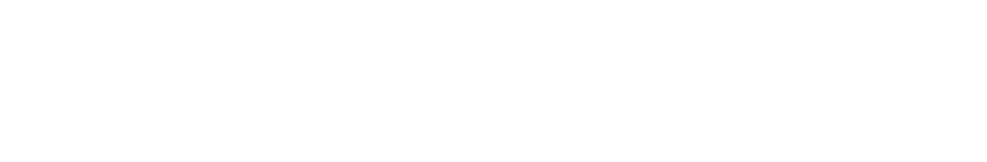 aurumbikes.com