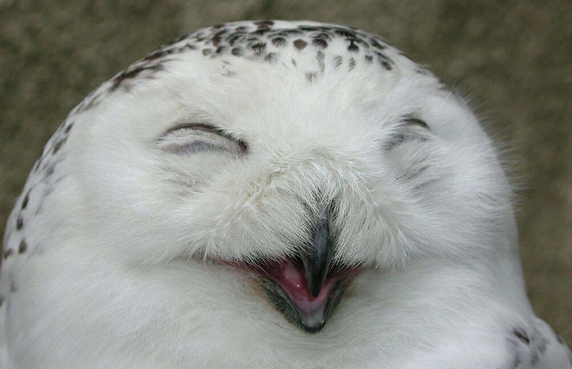 hihihihi.jpg