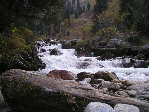 5918026794_50d2d89c9d.jpg