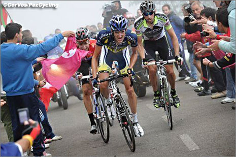 wout-pain.jpg