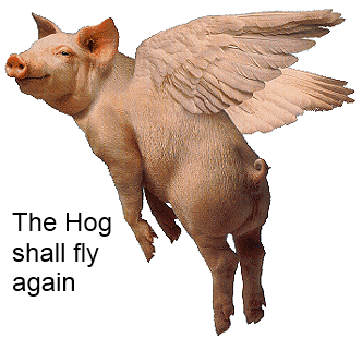 pig-fly.gif