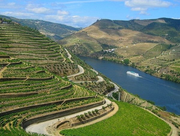 cruzeiros-douro.jpg