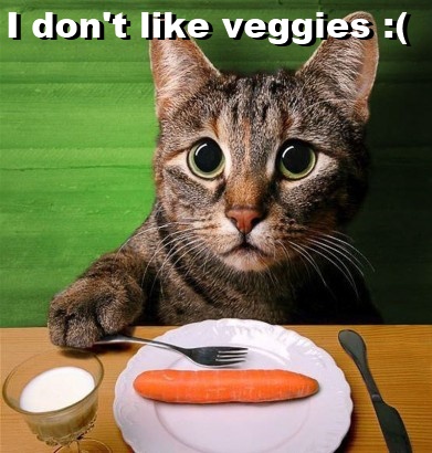 sad-cat-veggies.jpg