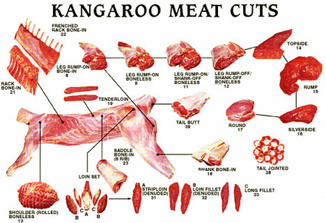 kangaroo-meat-chart.jpg