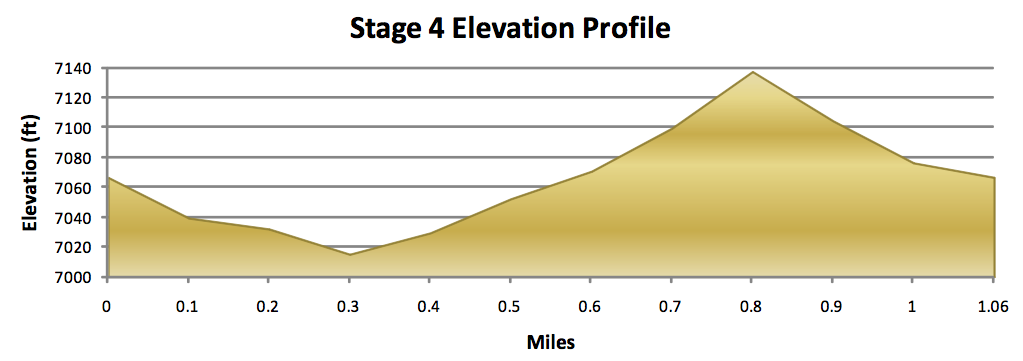 profile-4.png