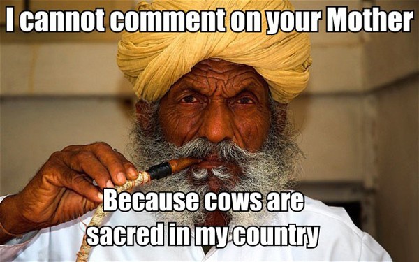 Wmmoo.jpg