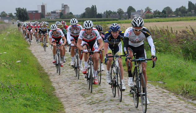 web-schaal-sels.jpg