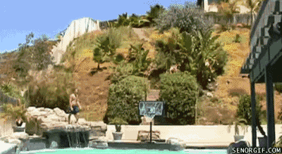 gifs_08.gif