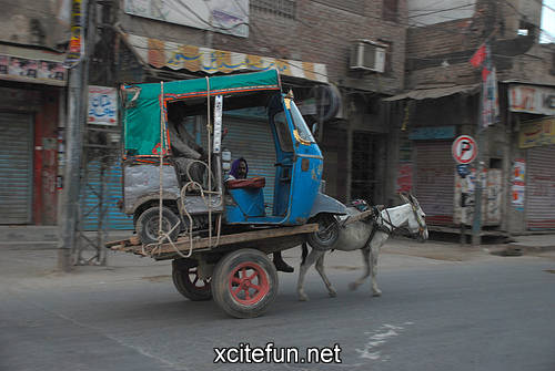 223850,xcitefun-rickshaw-17.jpg