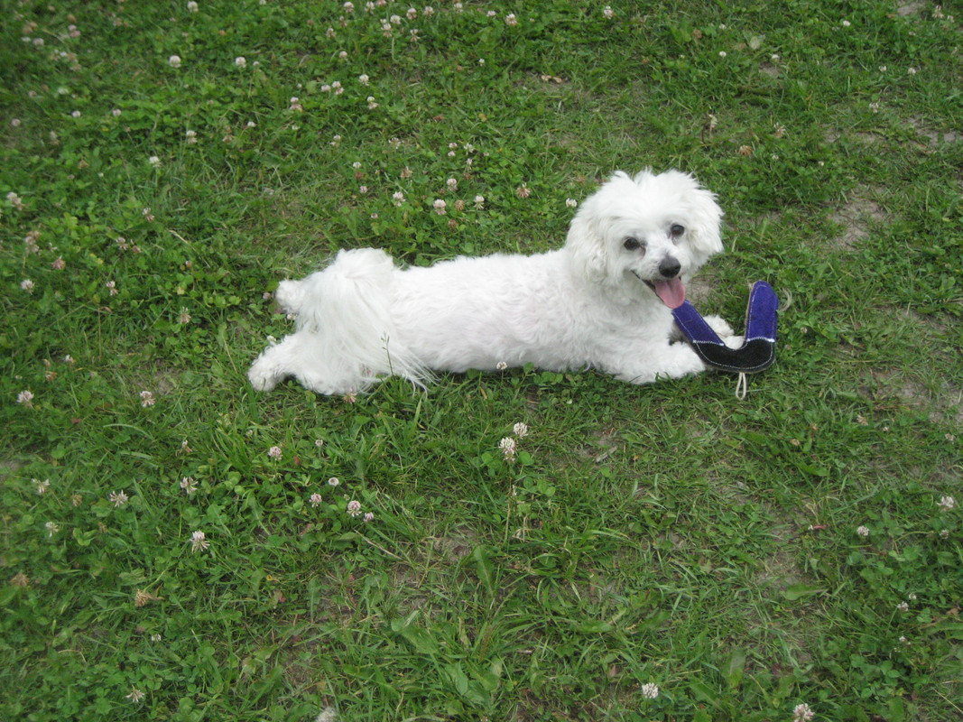 IMG-2600.jpg