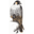 peregrinefund.org