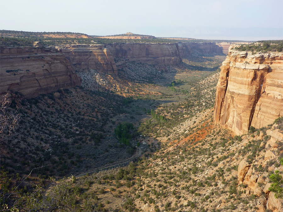 ute-canyon-view.jpg