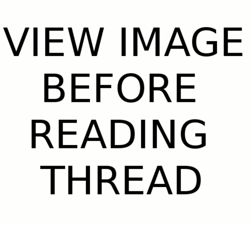 tumblr_ljbbnspCmI1qigpbxo1_500.gif