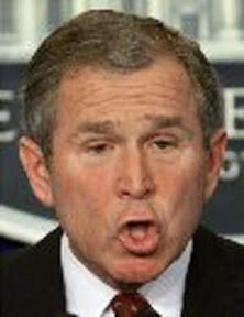 george-w-bush.jpg