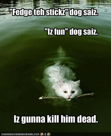 080830-fedge-teh-stickz.jpg