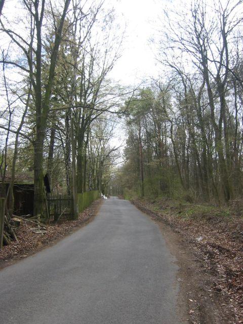 06Arnst_dterHohleRampenach700m.jpg