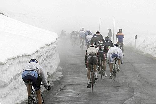 S20_Gavia_2.jpg