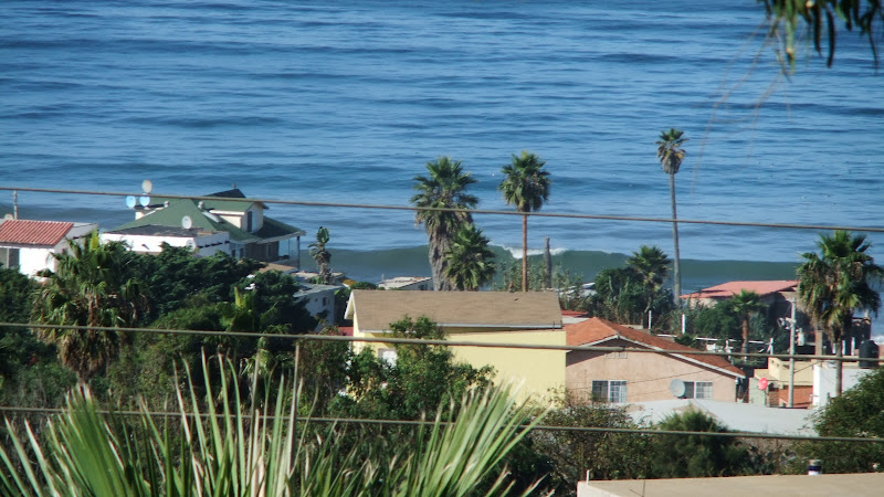 DSCF2950.JPG