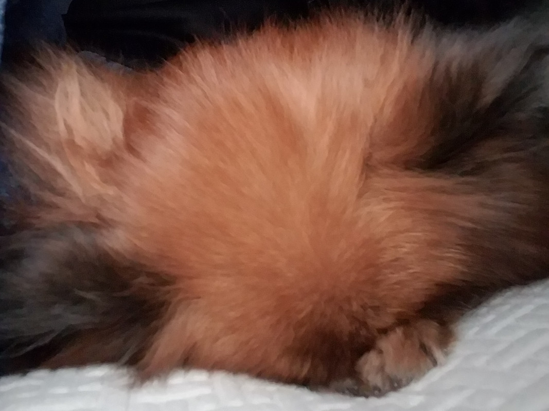 20191108-071559.jpg