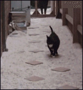 gifs_09.gif