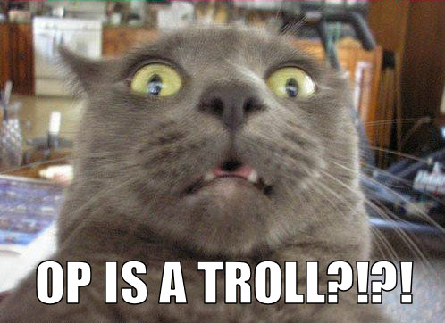 op_is_a_troll_trollcat.jpg