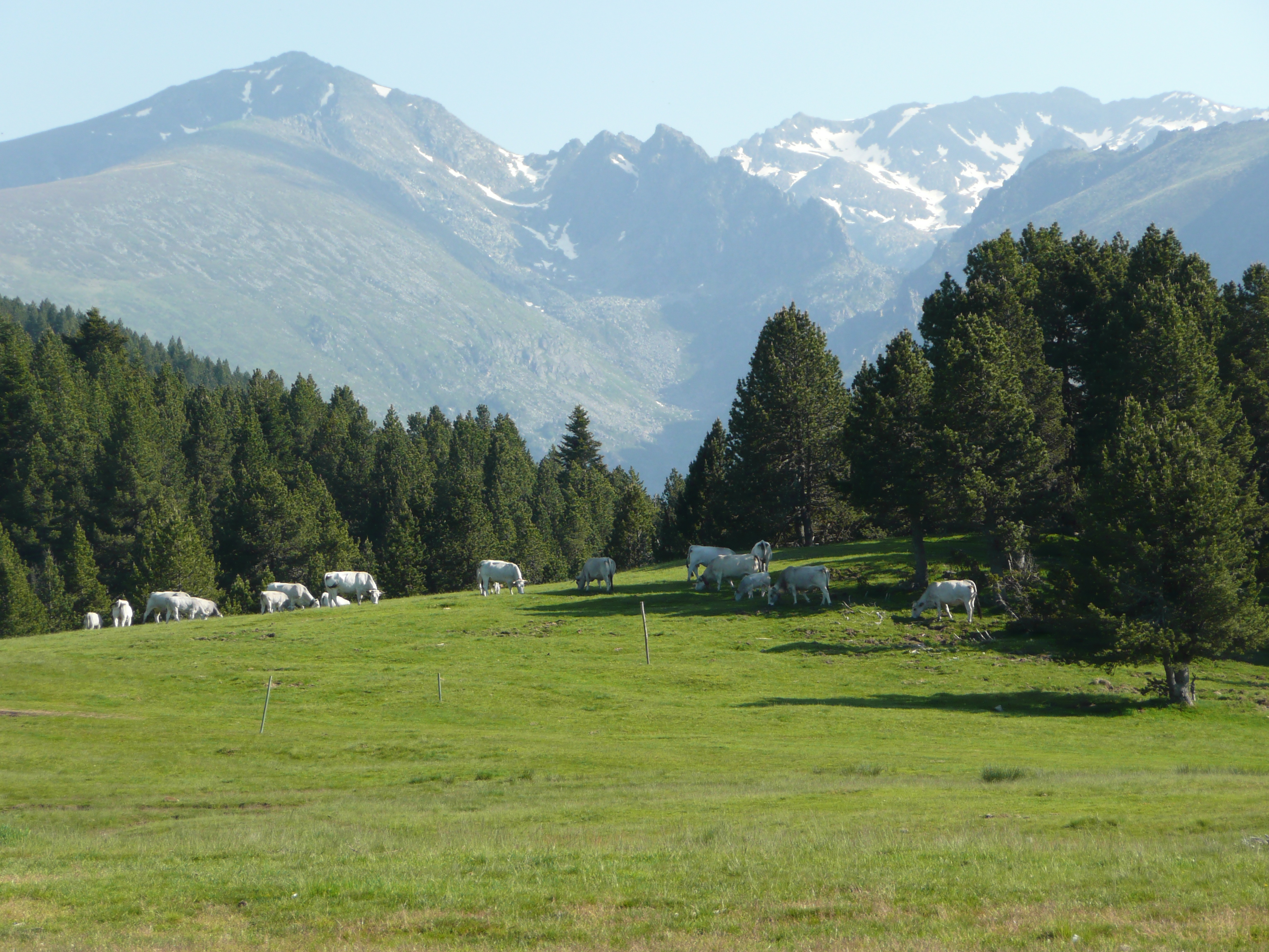 Les_Isarges%2C_plateau_de_Beille.JPG