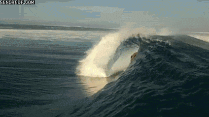 gifs_08.gif