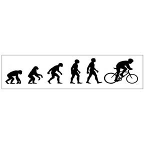 Bike-Evolution-Sticker-(5115).jpg