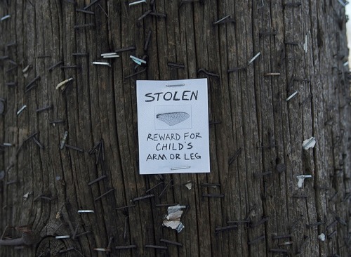 tumblr_lgpzrsoZ0h1qz9bwro1_500.jpg