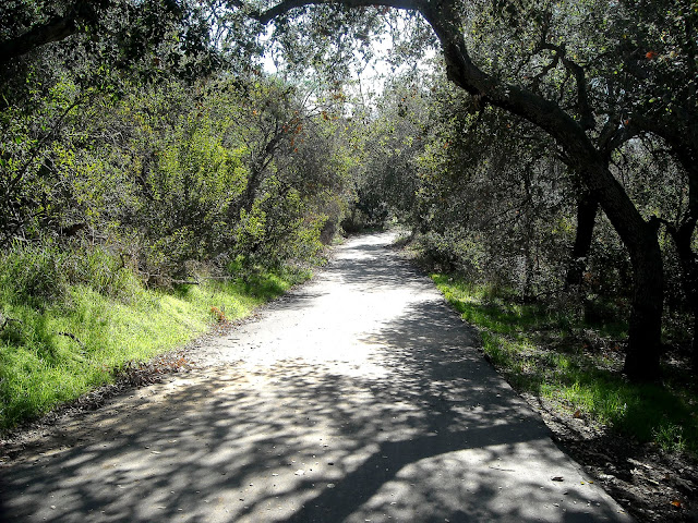 DSCN0318.JPG