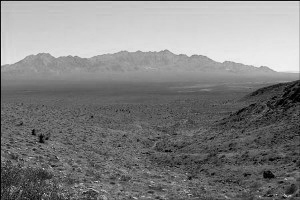 mojave_desert.jpg