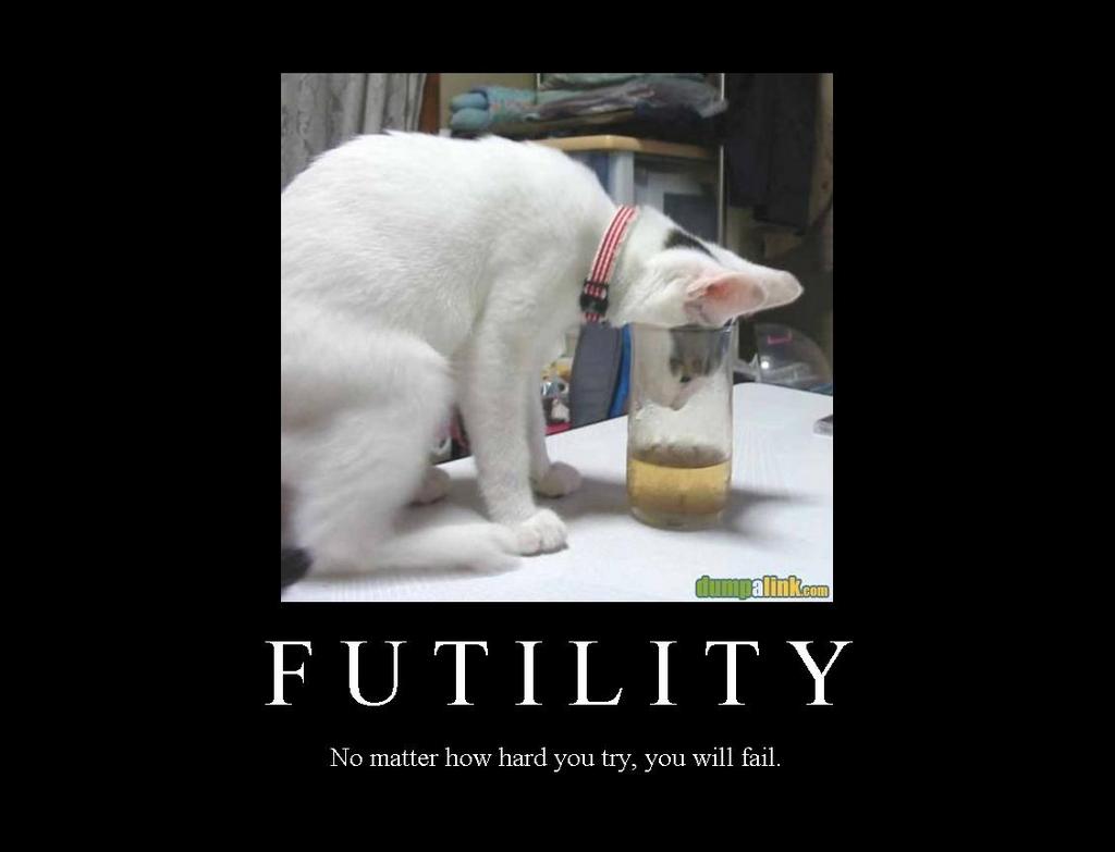 1174324245-futility.b.jpg