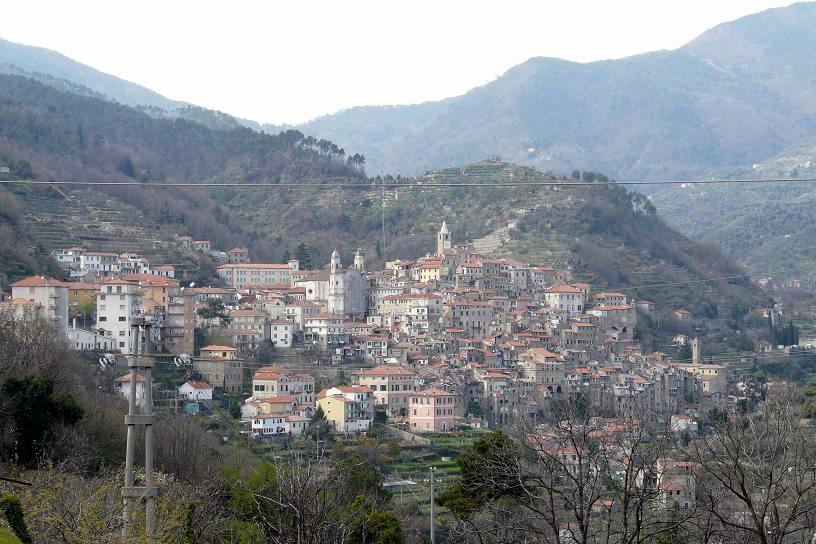 Ceriana-P1010174.JPG