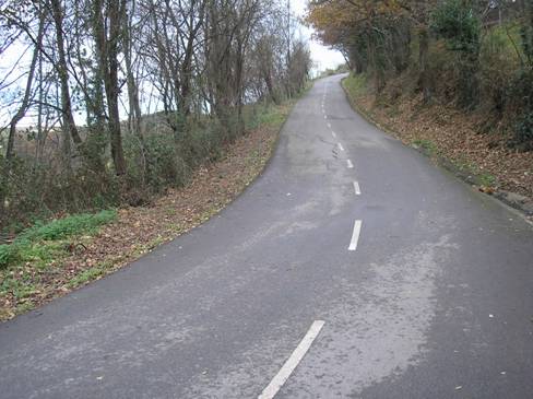PICULLANZASOTO12.jpg