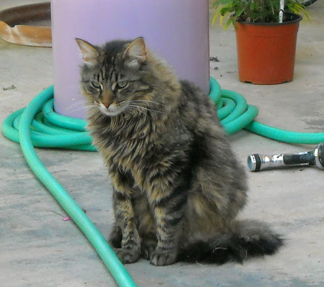 DSCN0368.JPG