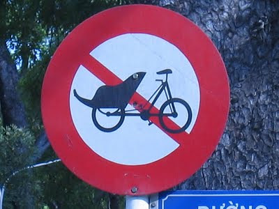 biking-seal.jpg