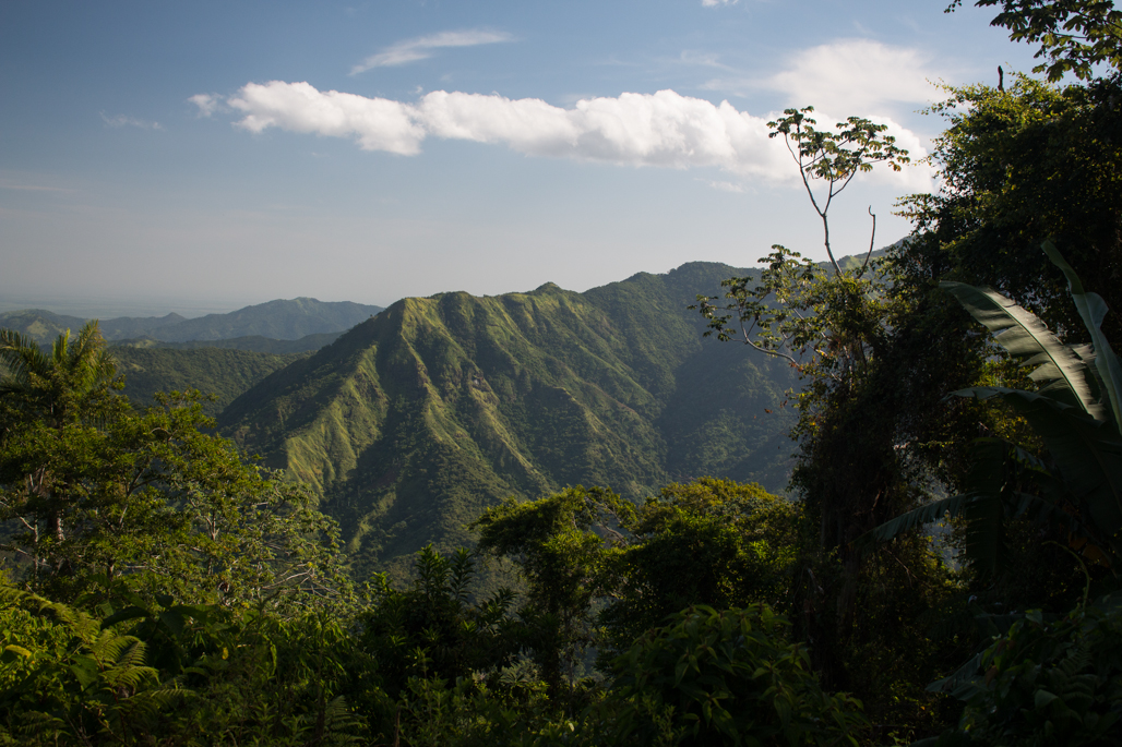 pico-7465.jpg