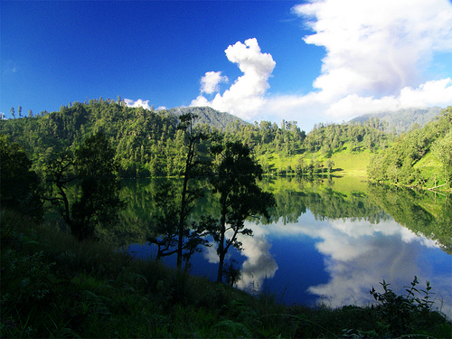 ranu%2Bkumbolo3.jpg