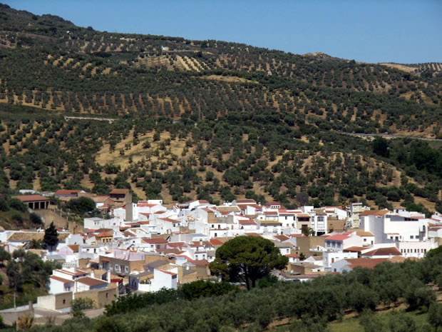 algamitas.jpg