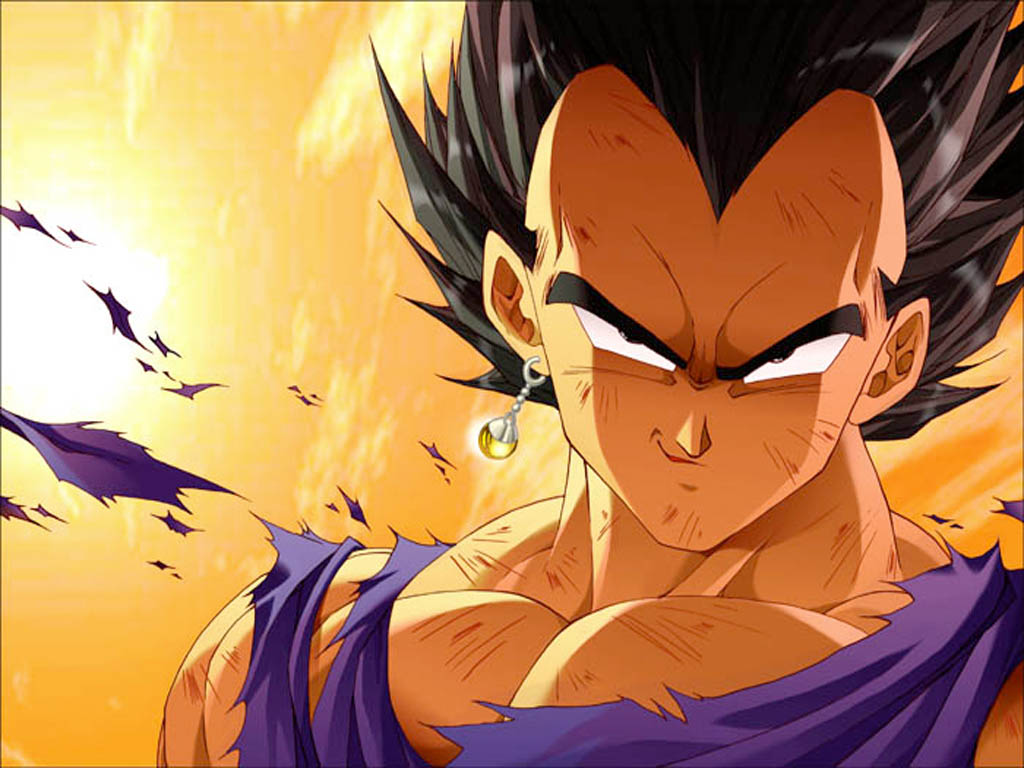 Vegeta-dragon-ball-z-25544772-1024-768.jpg
