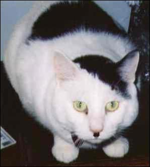 j015_01.jpg
