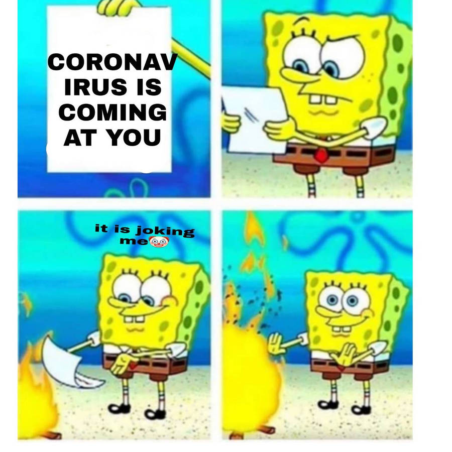 ok1b1.jpg
